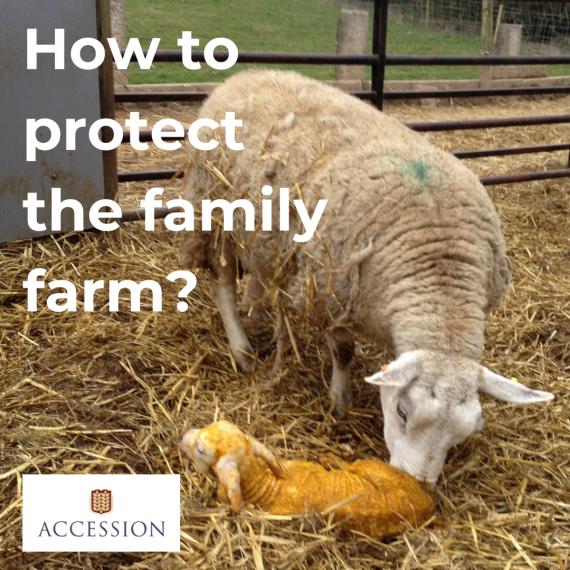 How to protect the family farm.png